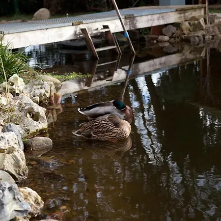 Utspann 8 וונסטורף